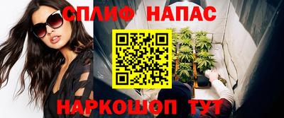 сатива Будённовск