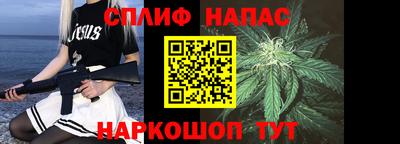 сатива Будённовск