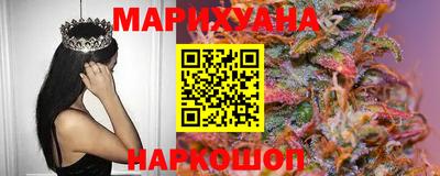сатива Будённовск