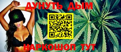 сатива Будённовск