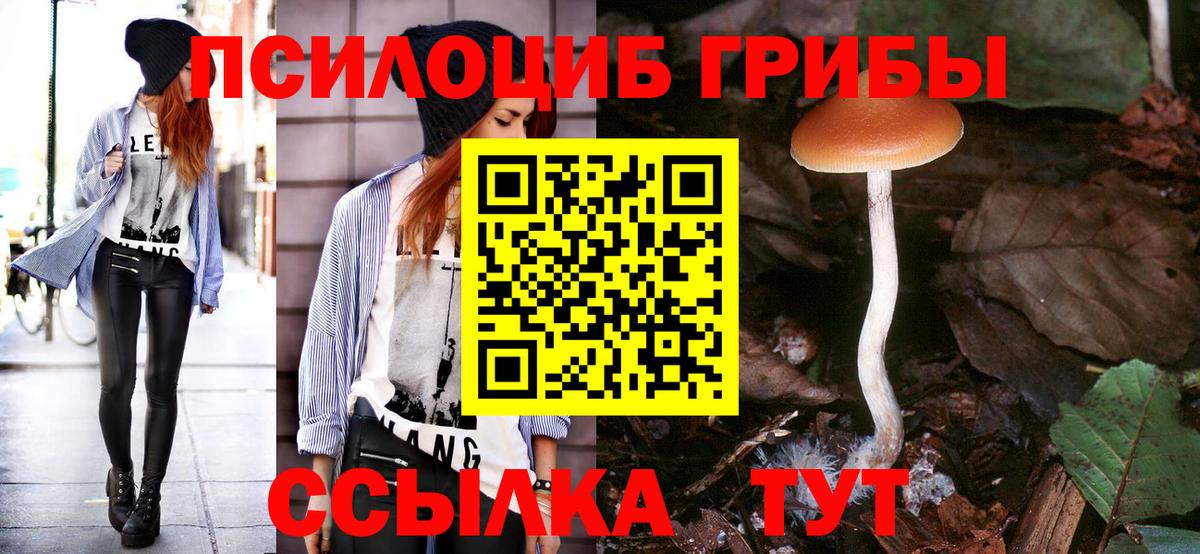 Псилоцибиновые грибы ЛСД Новошахтинск
