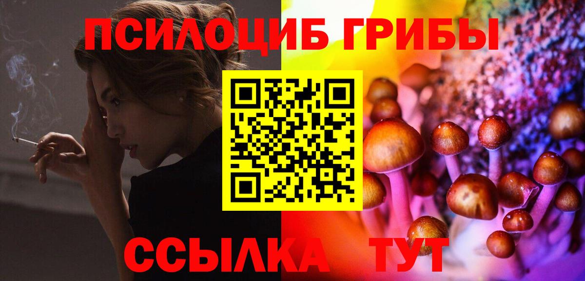 Галлюциногенные грибы Psilocybe  Псилоцибиновые грибы Psilocybe  Новошахтинск  Вход с VPN 